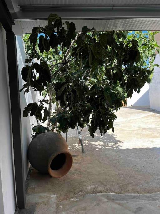 فيلا Agradable Casa Con Chimenea Interior Y Barbacoa. Graja de Iniesta المظهر الخارجي الصورة